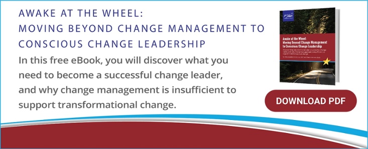 eBook: Awake at the Wheel: Moving Beyond Change Management to Conscious Change Leadership